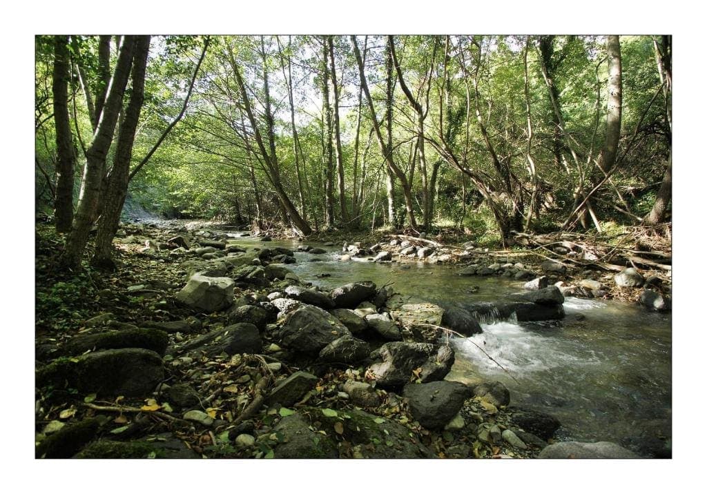 Le ruisseau naturel sur la propriété